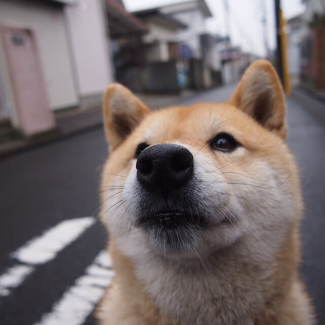 新闻中心工业互联网平台初具规模,工业互联网平台1.0